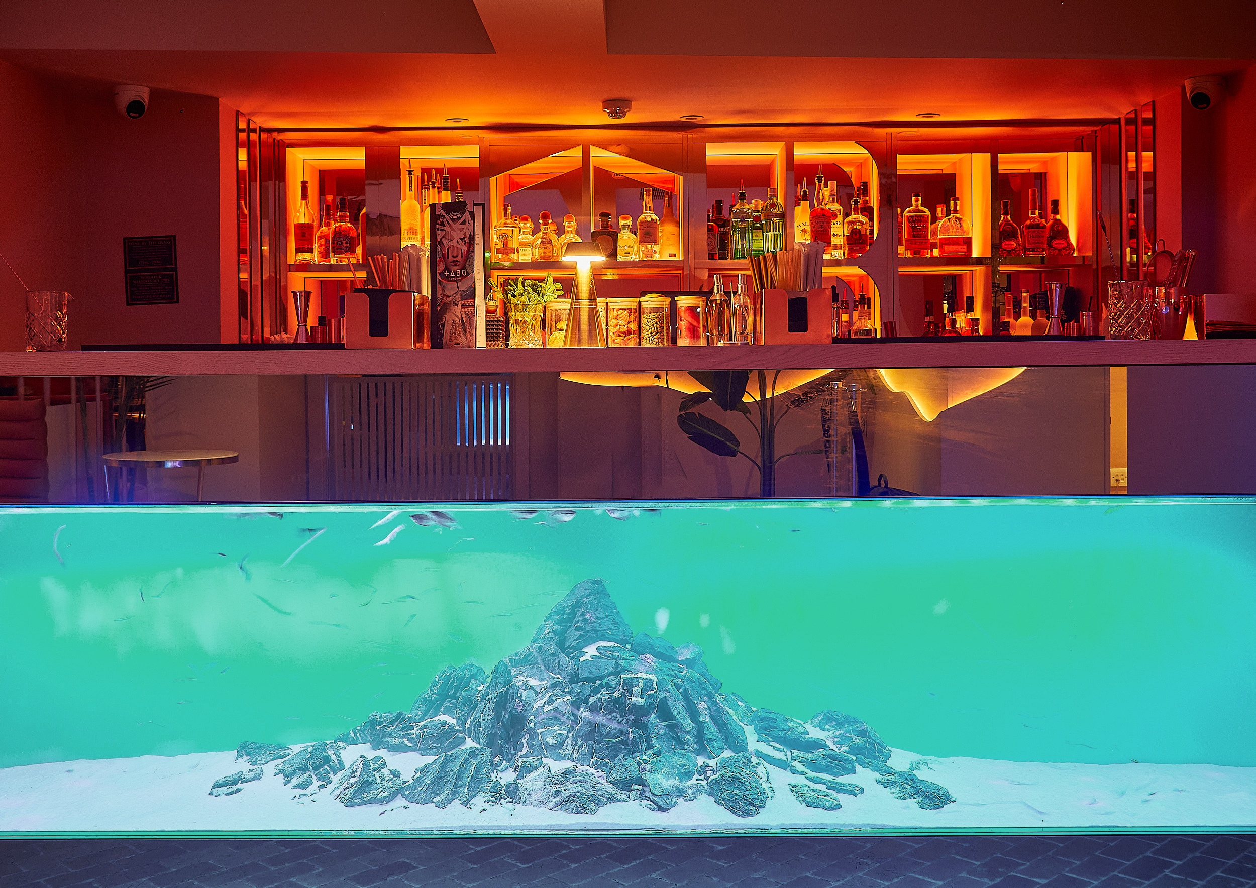 Bar at Yuki with illuminated shelves above a turquoise aquarium housing coral and fish